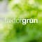 faktorgruen