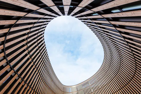 projekt rathaus freiburg competitionline