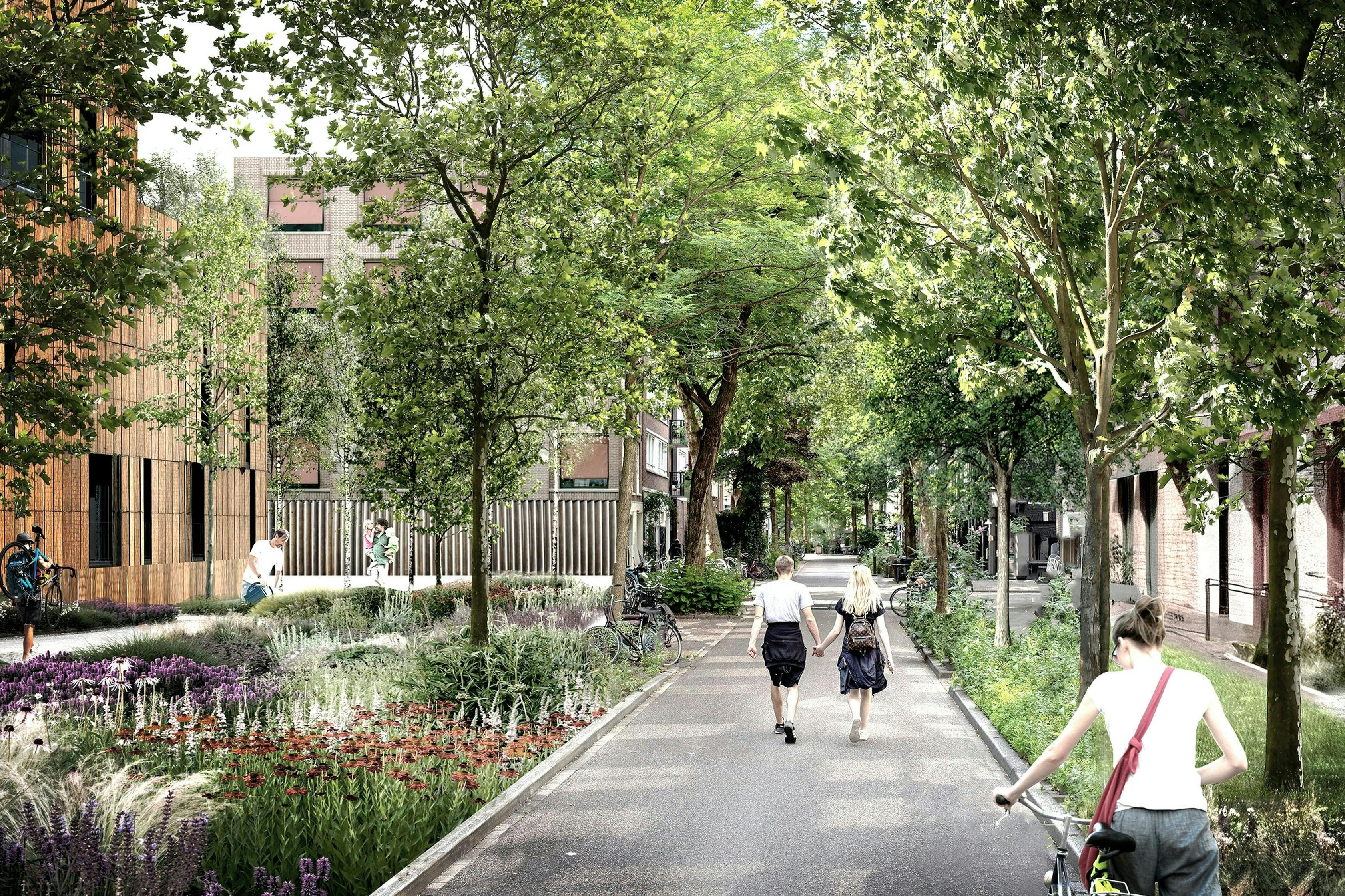 INTEGRATED GREEN STREETS