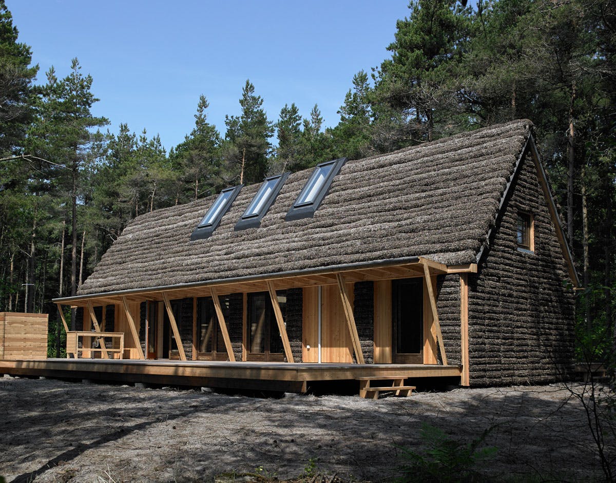 Projekt Modern Seaweed House Competitionline
