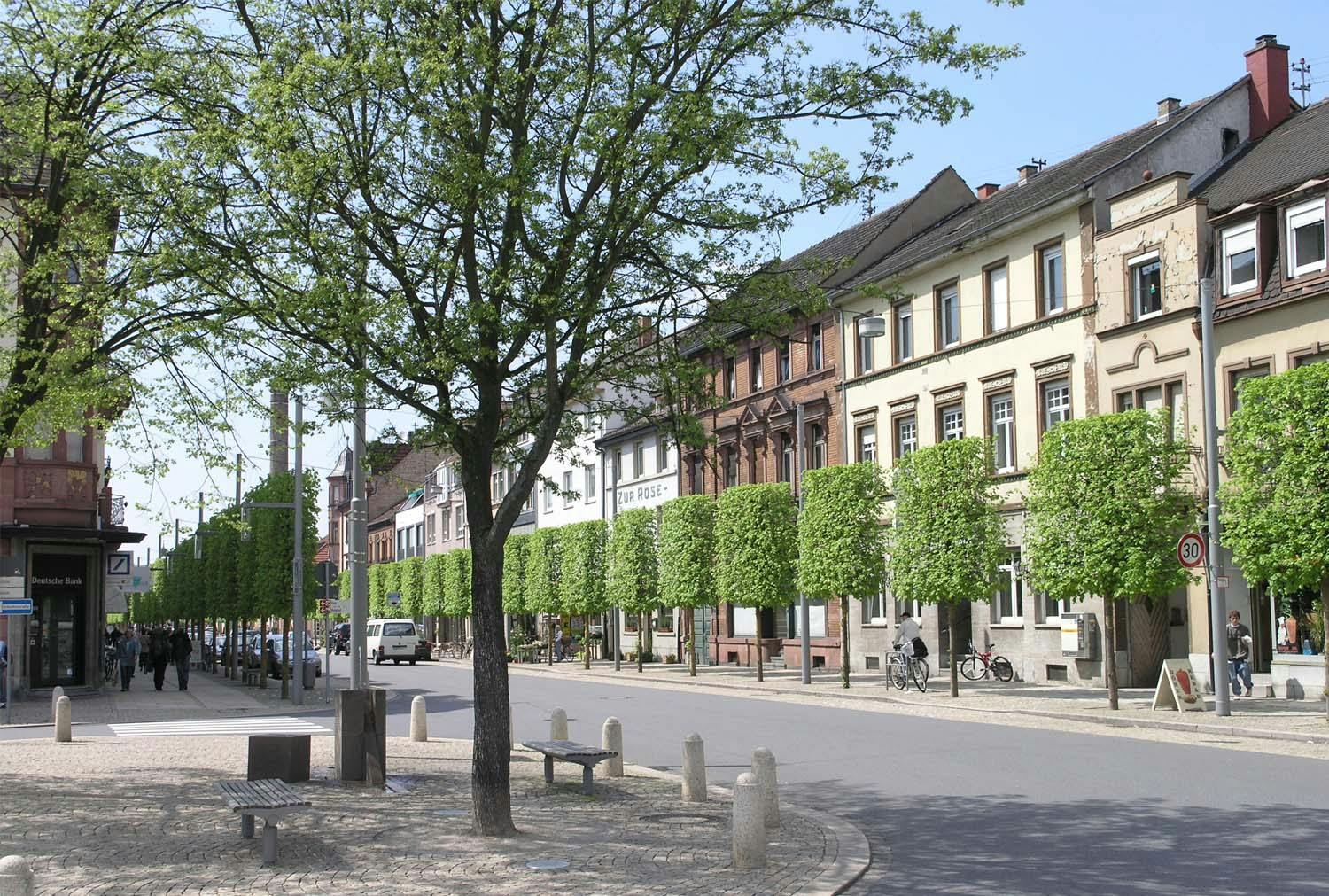Projekt Barockachse Schwetzingen Competitionline