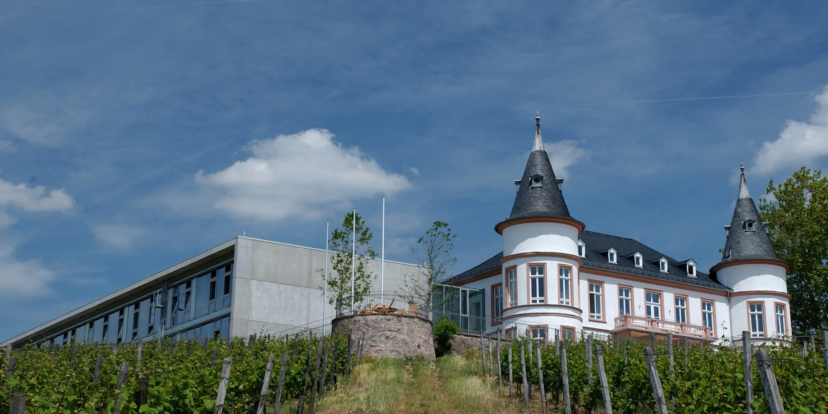 Internatsschule Schloss Hansenberg Geisenheim