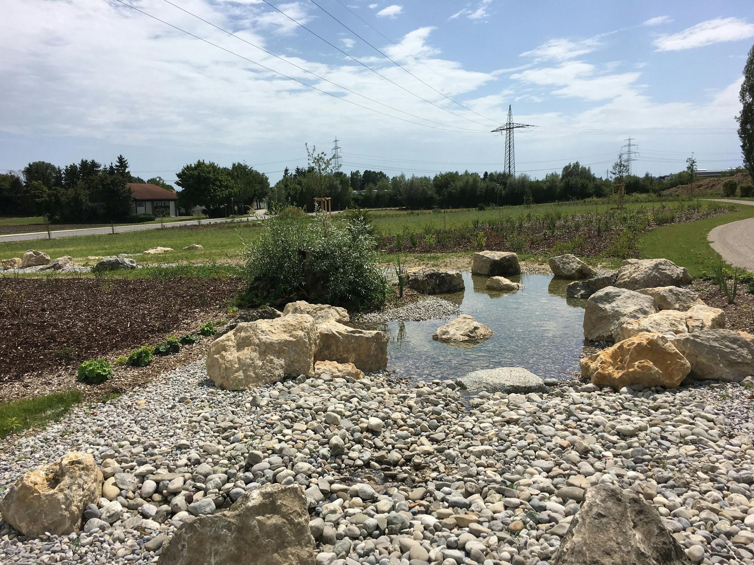 Ausgleichsfläche mit Quellaustritt, Wasserlauf und Feuchtbiotop, Stand 07/2017