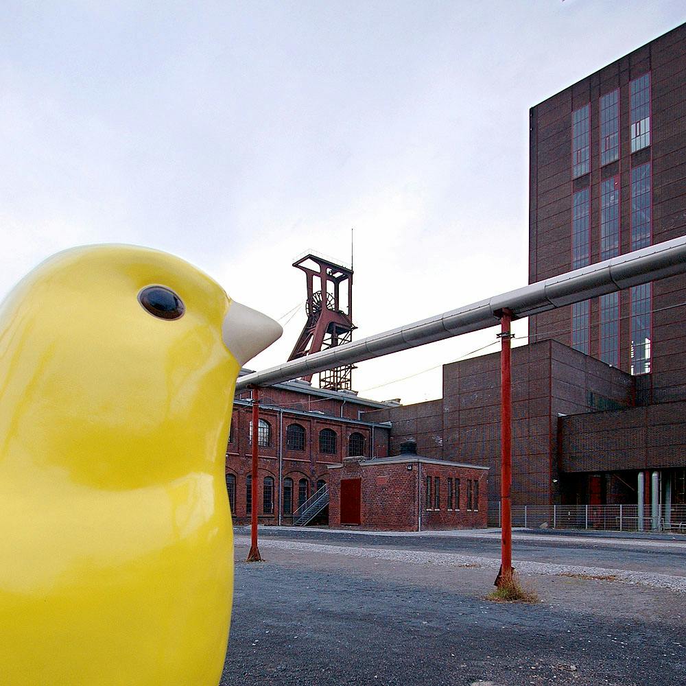 Designallee Zollverein Essen - Wegeleitsystem Kanarienvögel