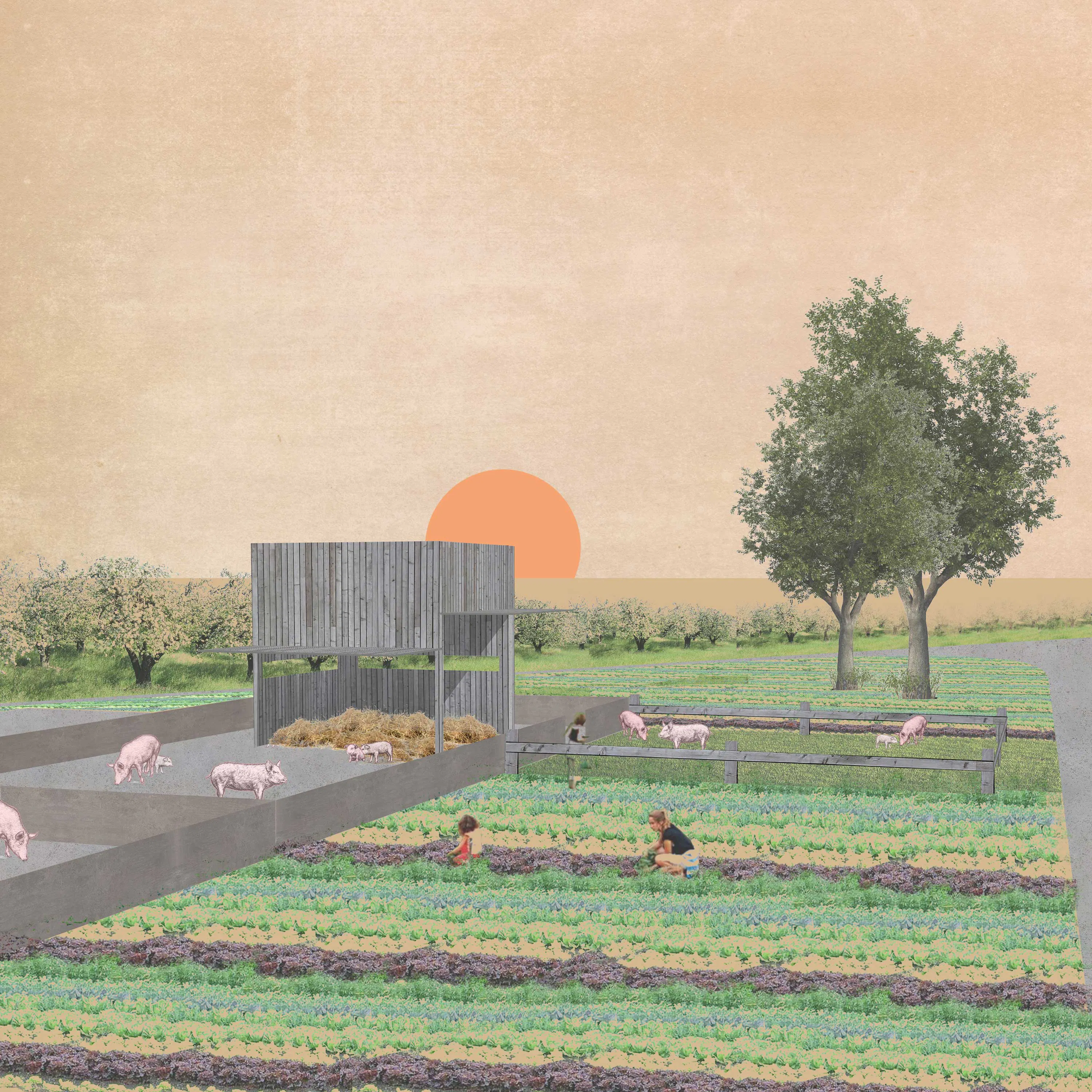 Vom Stall zur Theke – Ideen für einen tierwohlgerechten Schweinestall