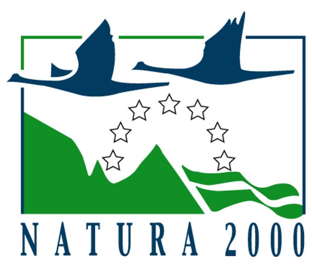 seecon übernimmt die Erarbeitung von Managementplänen der Thüringer Natura-2000-Gebiete