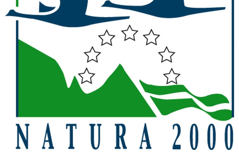 seecon übernimmt die Erarbeitung von Managementplänen der Thüringer Natura-2000-Gebiete