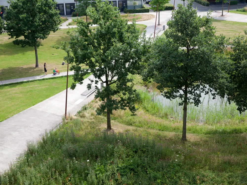 Quirijn Park