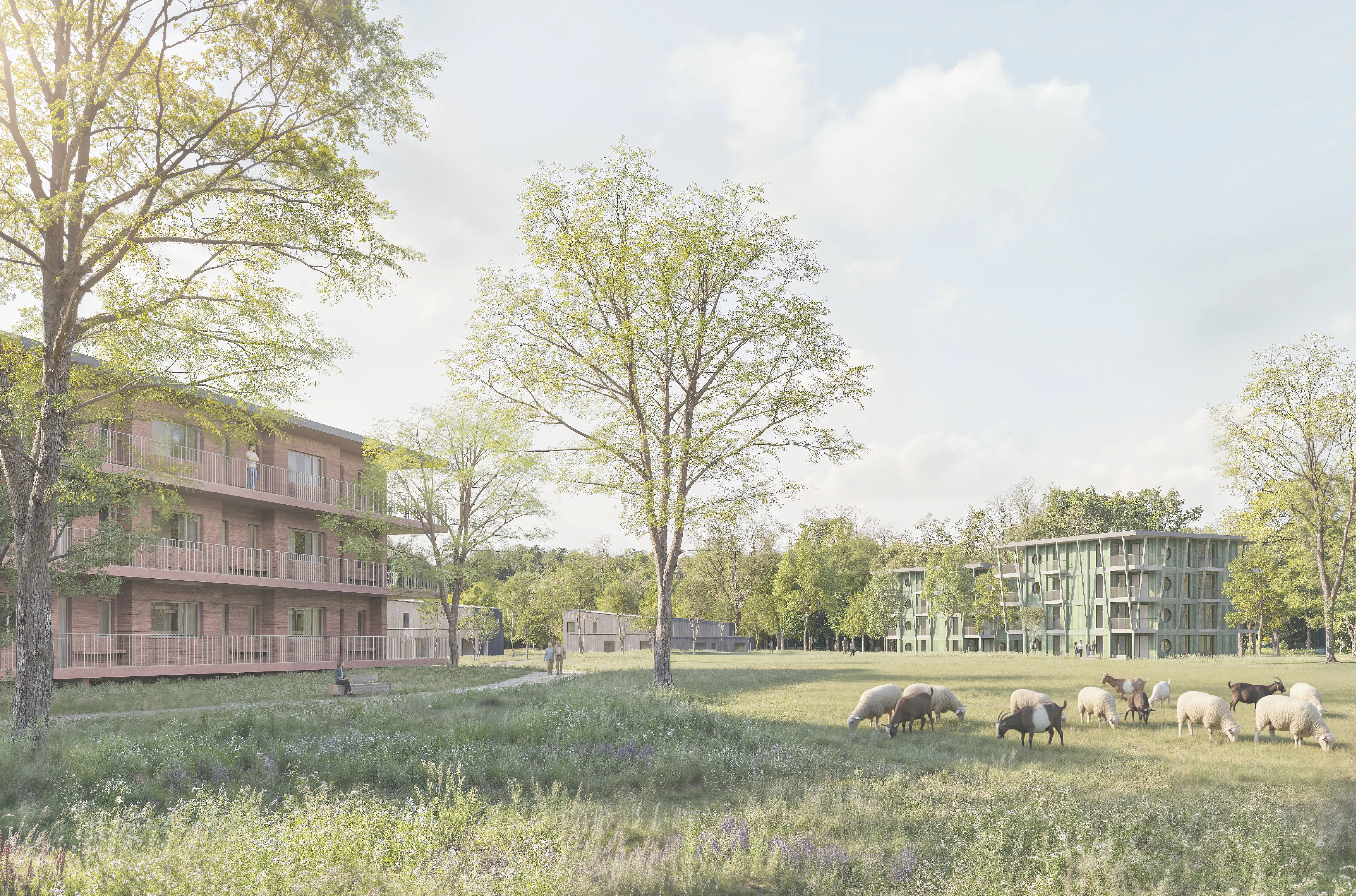 Quartiersentwicklung Seniorenwohnen Seerosenpark in Senden ...