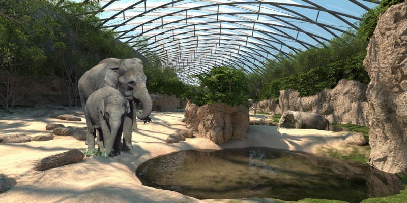 3. Rang : Projektwettbewerb Neugestaltung Elefantenpark