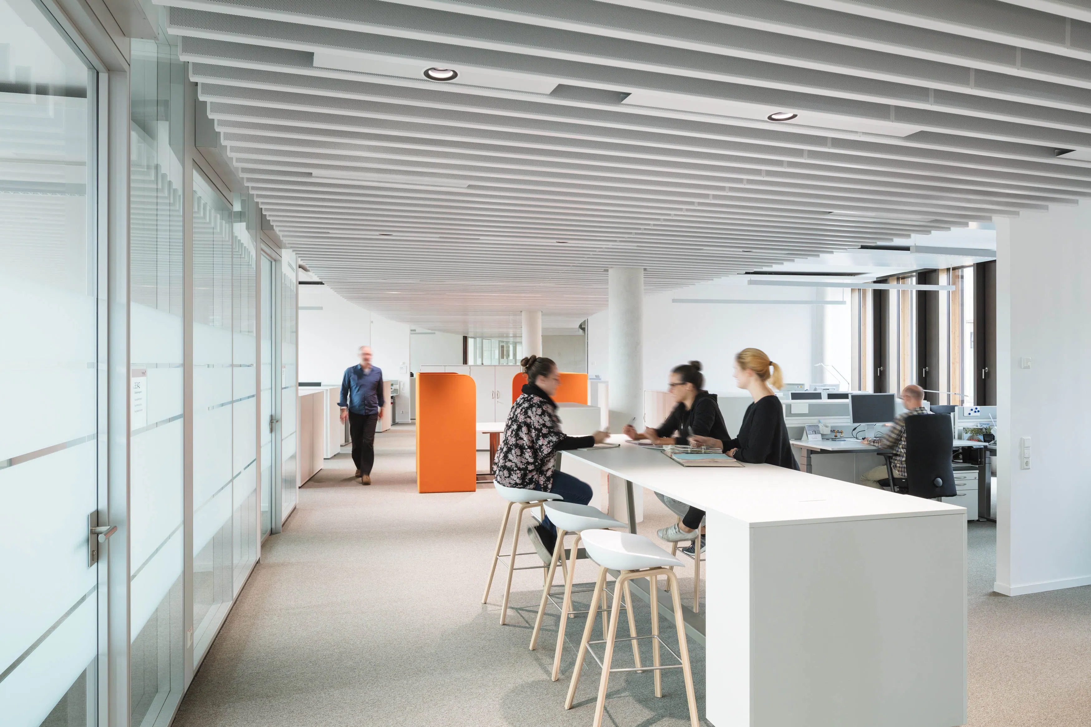 projekt rathaus freiburg competitionline